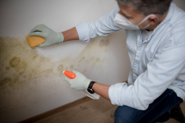 Professional Mold Remediation in Bethany, OR